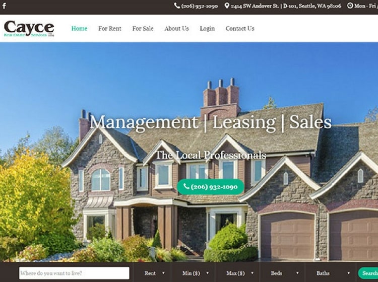 Real Estate Website Designs