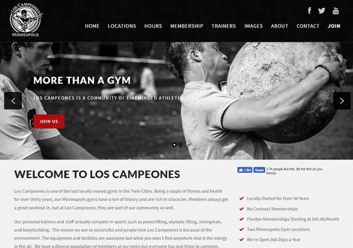 gym and fitness webdesigns